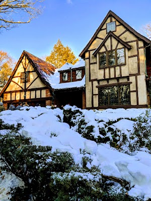 Whip Hill Park - photo 49