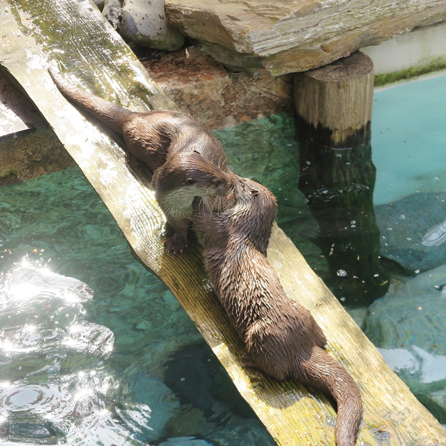 Photo n° 1 de l'avis de JooHee.A fait le 23/08/2018 à 13:16
