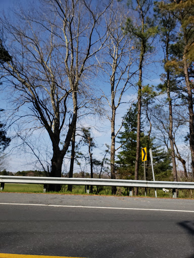 Public Golf Course «Hamilton Trails Golf Club», reviews and photos, 620 Harbor Ave, Mays Landing, NJ 08330, USA