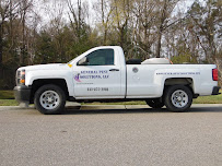 General Pest Solutions, LLC - Photo 2 - Car repair in , North Charleston