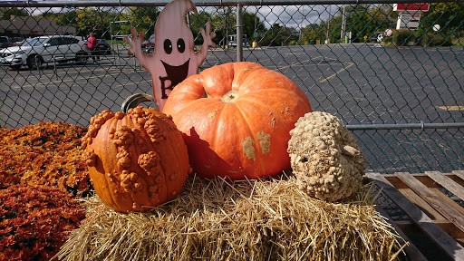 Supermarket «Butera Market», reviews and photos, 1290 Chicago Ave, Naperville, IL 60540, USA