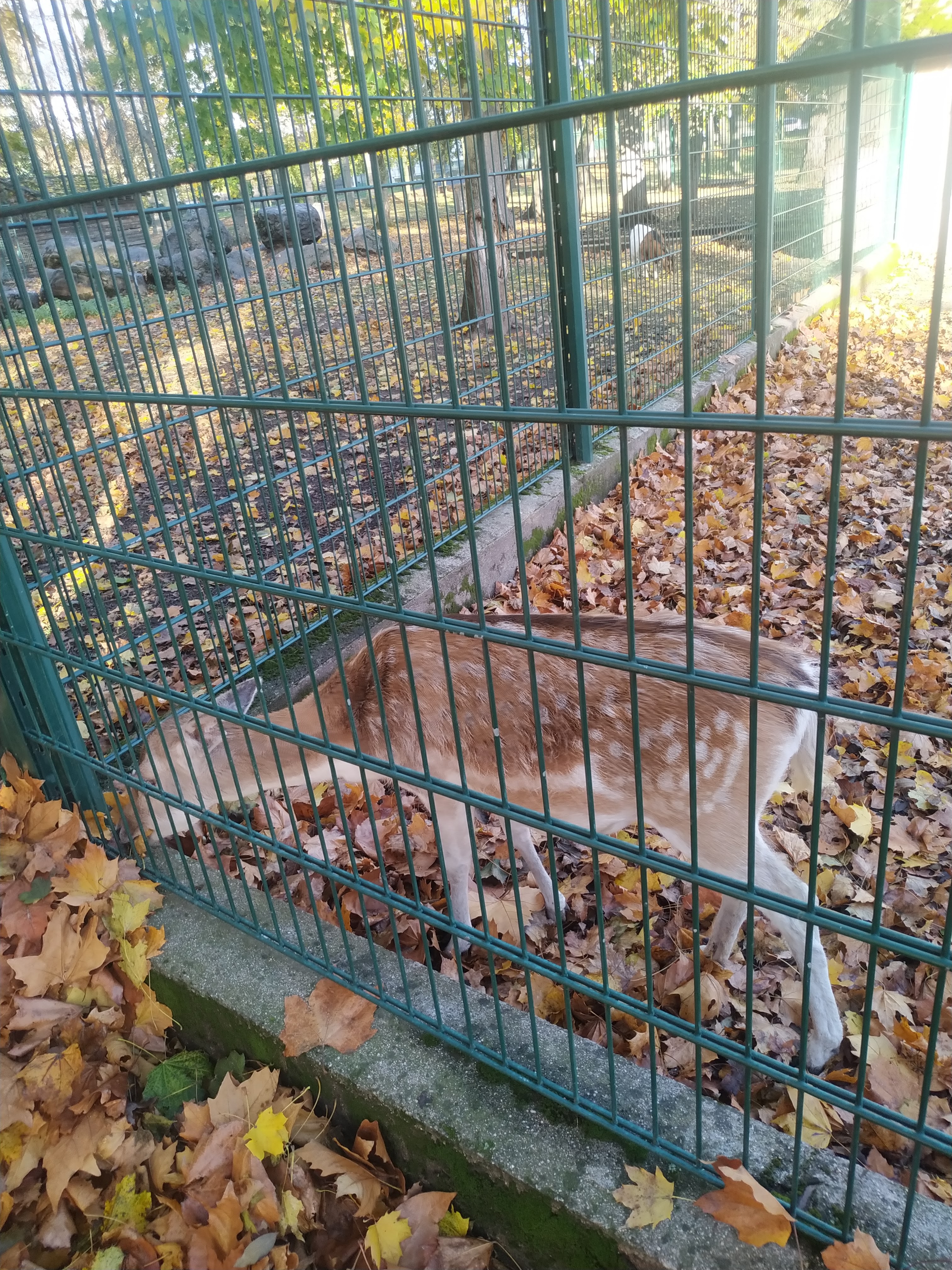Photo n° 4 de l'avis de Christophe.u fait le 01/11/2021 à 16:23