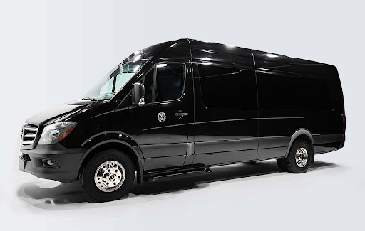 Grey Lion Tours, Luxury Van Rentals