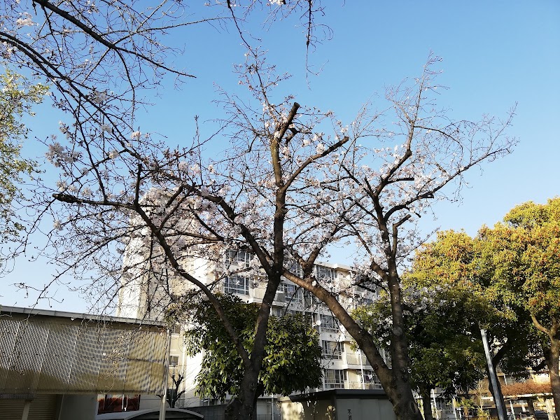 芦原公園