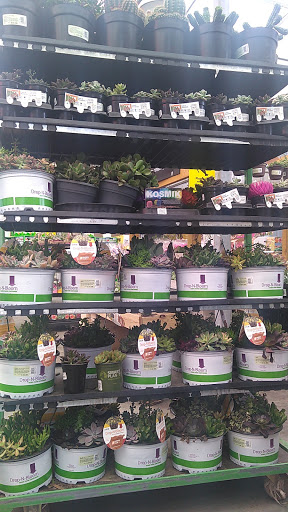 Home Improvement Store «The Home Depot», reviews and photos, 2551 S Interstate Hwy 35, Round Rock, TX 78664, USA