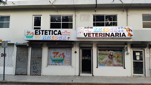 Veterinaria An.Ed.Sa