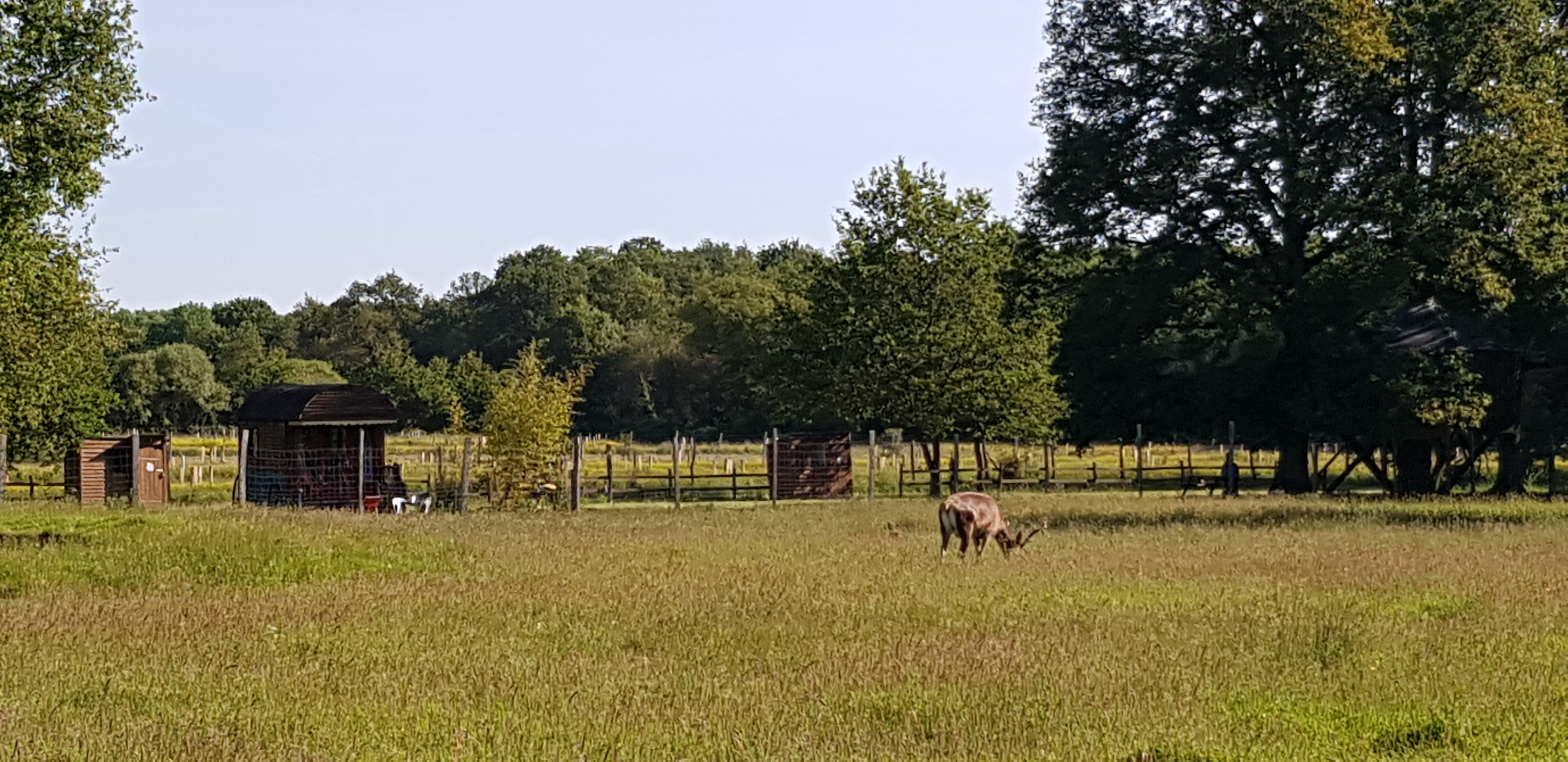 Photo n° 1 de l'avis de Michèle.A fait le 03/06/2021 à 05:43