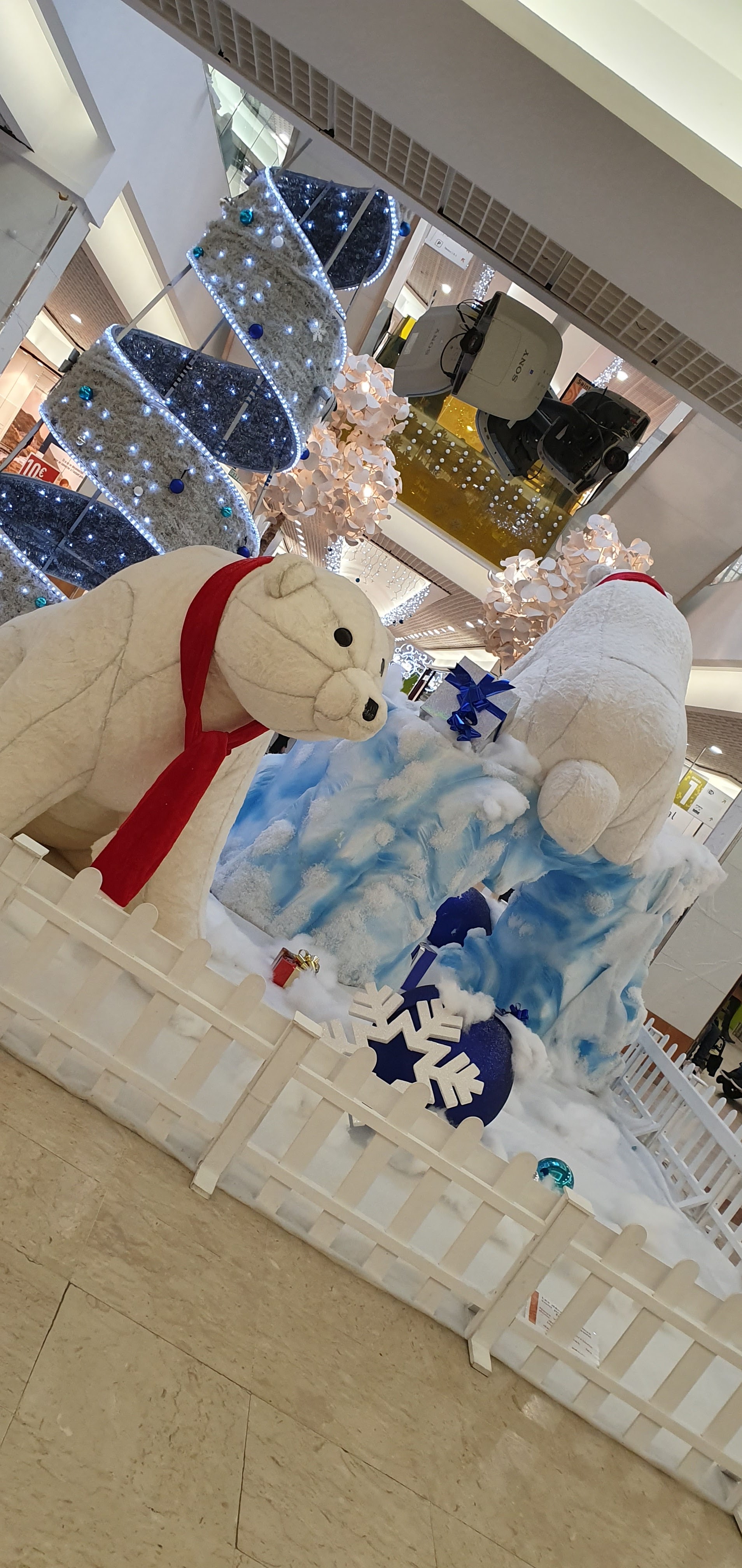 Photo n° 5 de l'avis de Jean.u fait le 15/12/2019 à 17:15