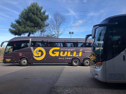 Gulli Bus & Co.