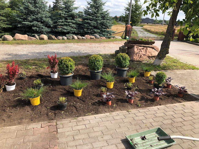 Komentarze i opinie o Ogrody Luizy - Krystian Porzuczek