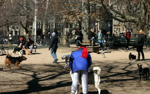 Washington Park - Small Dog Run image