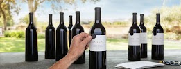 Italics Winegrowers