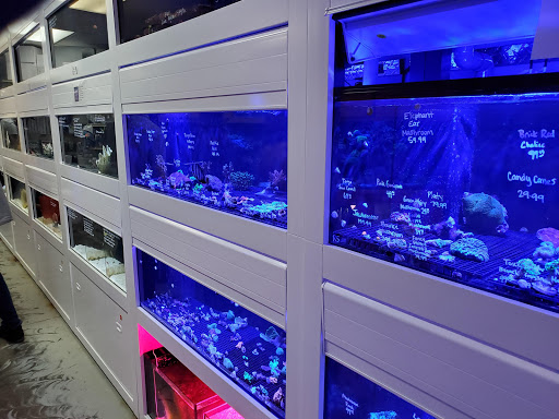Tropical Fish Store «Barrier Reef Aquariums», reviews and photos, 1717 NE 44th St # A, Renton, WA 98056, USA