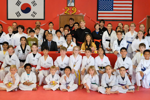 MJ's Taekwondo Academy - Naperville image