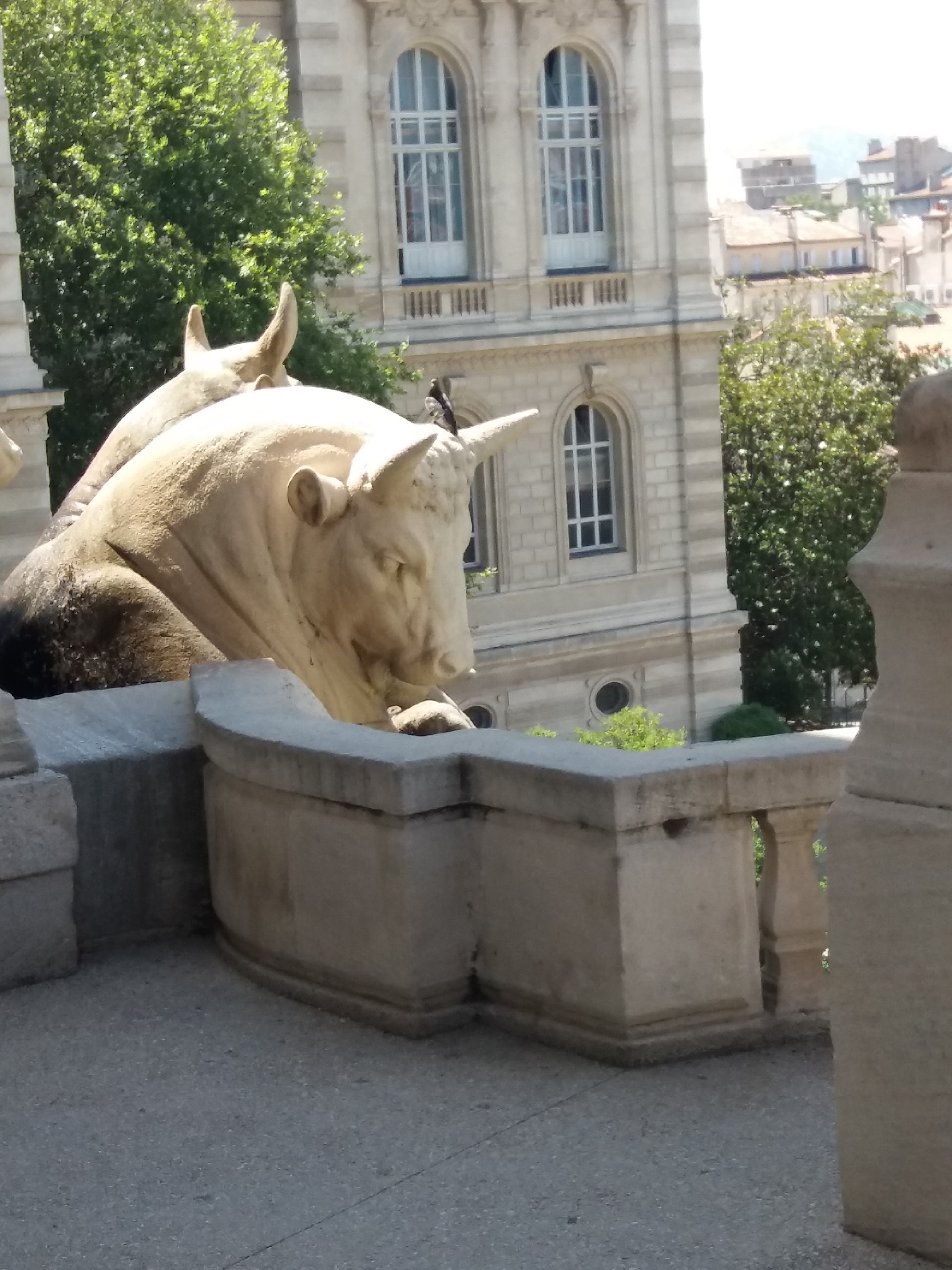 Photo n° 1 de l'avis de Nathalie.e fait le 04/07/2023 à 14:00