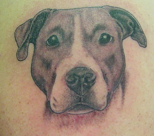 Tattoo Shop «Wonderland Tattoo Studio», reviews and photos, 23531 Little Mack Ave, St Clair Shores, MI 48080, USA