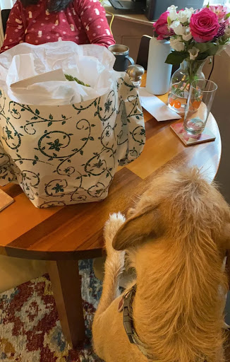 Florist «Perzynski and Filar Florist», reviews and photos, 500 S Ann St, Baltimore, MD 21231, USA