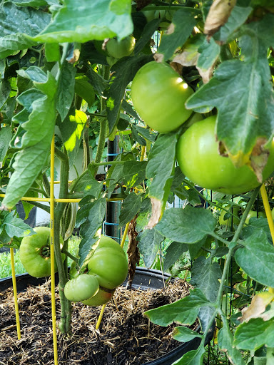 Health Food Store «Vineyard Grocer», reviews and photos, 294 State Rd, Vineyard Haven, MA 02568, USA