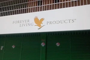 Forever Living Products image