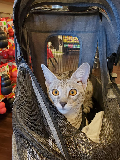 Pet Supply Store «Healthy Pet Products», reviews and photos, 9805 McKnight Rd, Pittsburgh, PA 15237, USA