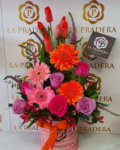 La Pradera ATELIER FLORAL