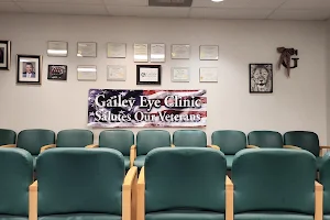 Gailey Eye Clinic image