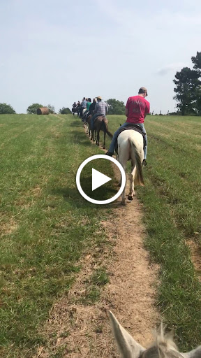 Insurance Agency «Adam Darby - State Farm Insurance Agent», reviews and photos