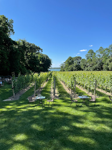 Vineyard «Harmony Vineyards», reviews and photos, 169 Harbor Rd, St James, NY 11780, USA