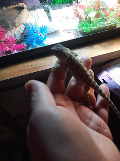 Pet Supply Store «Pet Supplies Plus», reviews and photos, 6101 Stellhorn Rd, Fort Wayne, IN 46815, USA