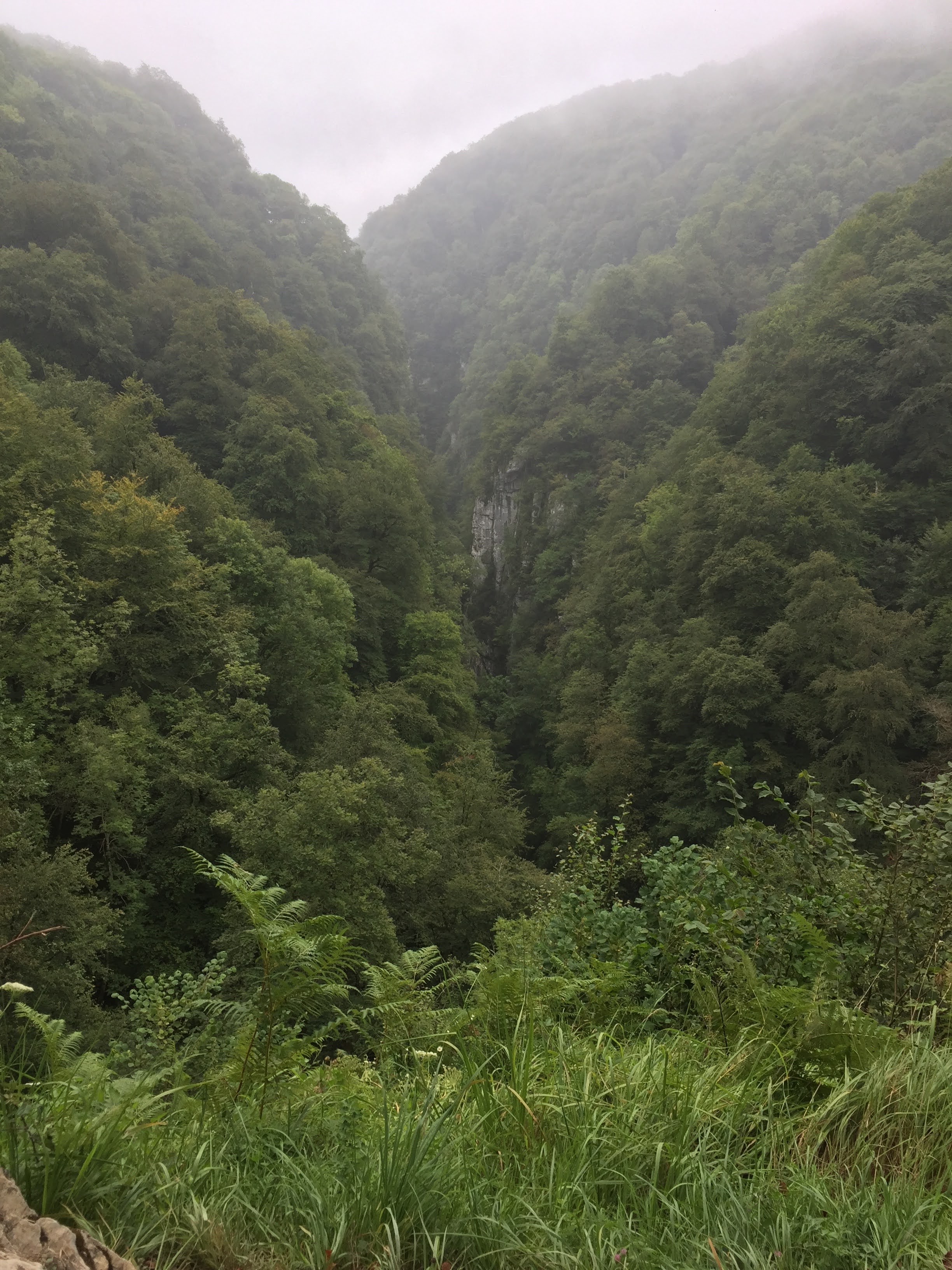 Photo n° 3 de l'avis de Julien.a fait le 05/08/2020 à 19:17