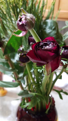 Florist «Green Cottage», reviews and photos, 1204 NY-213, High Falls, NY 12440, USA