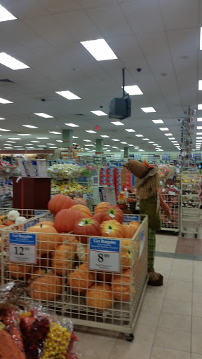 Home Goods Store «Christmas Tree Shops», reviews and photos, 790 Jefferson Rd, Rochester, NY 14623, USA