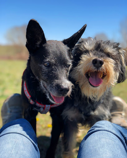 Dog Park «Grandview Dog Park», reviews and photos, 17500 E Quincy Ave, Aurora, CO 80015, USA