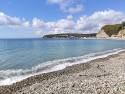 Foto von Primorskaya beach mit sehr sauber Sauberkeitsgrad