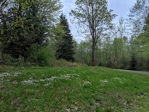 Des Moines Creek Trail Park - photo 77