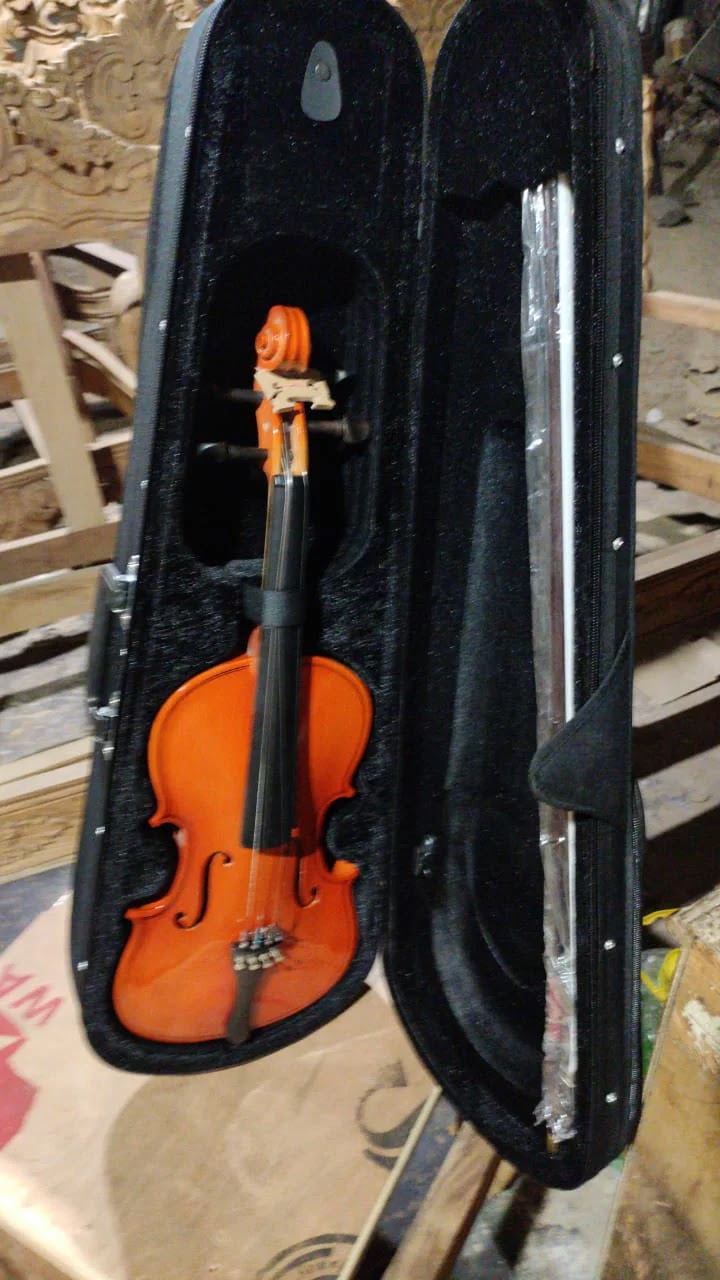 Fancy violin