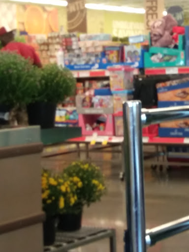 Supermarket «ALDI», reviews and photos, 1702 Blanding Blvd, Middleburg, FL 32068, USA