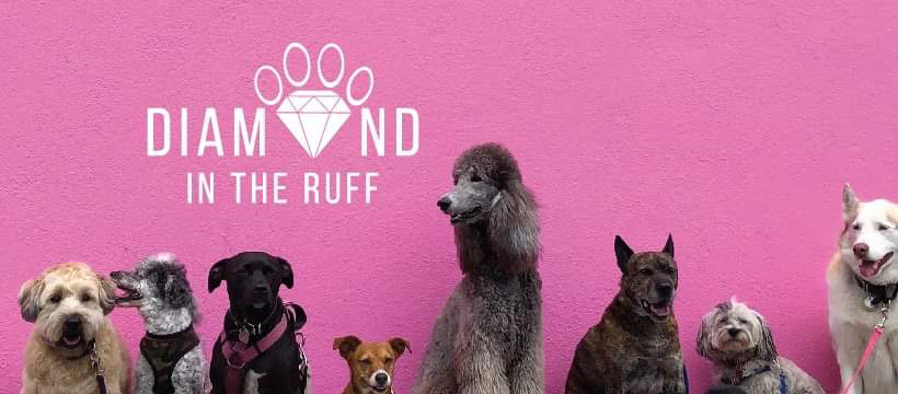 Diamond In The Ruff Pet Care, LLC