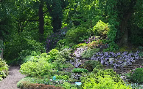 Utrecht Botanic Gardens image
