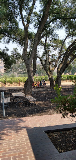 Vineyard «Ledson Winery & Historic Castle Vineyards», reviews and photos, 7335 CA-12, Kenwood, CA 95409, USA