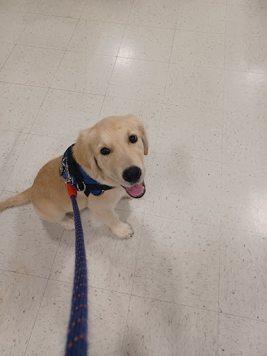 Pet Supply Store «PetSmart», reviews and photos, 1515 US-22, Watchung, NJ 07069, USA