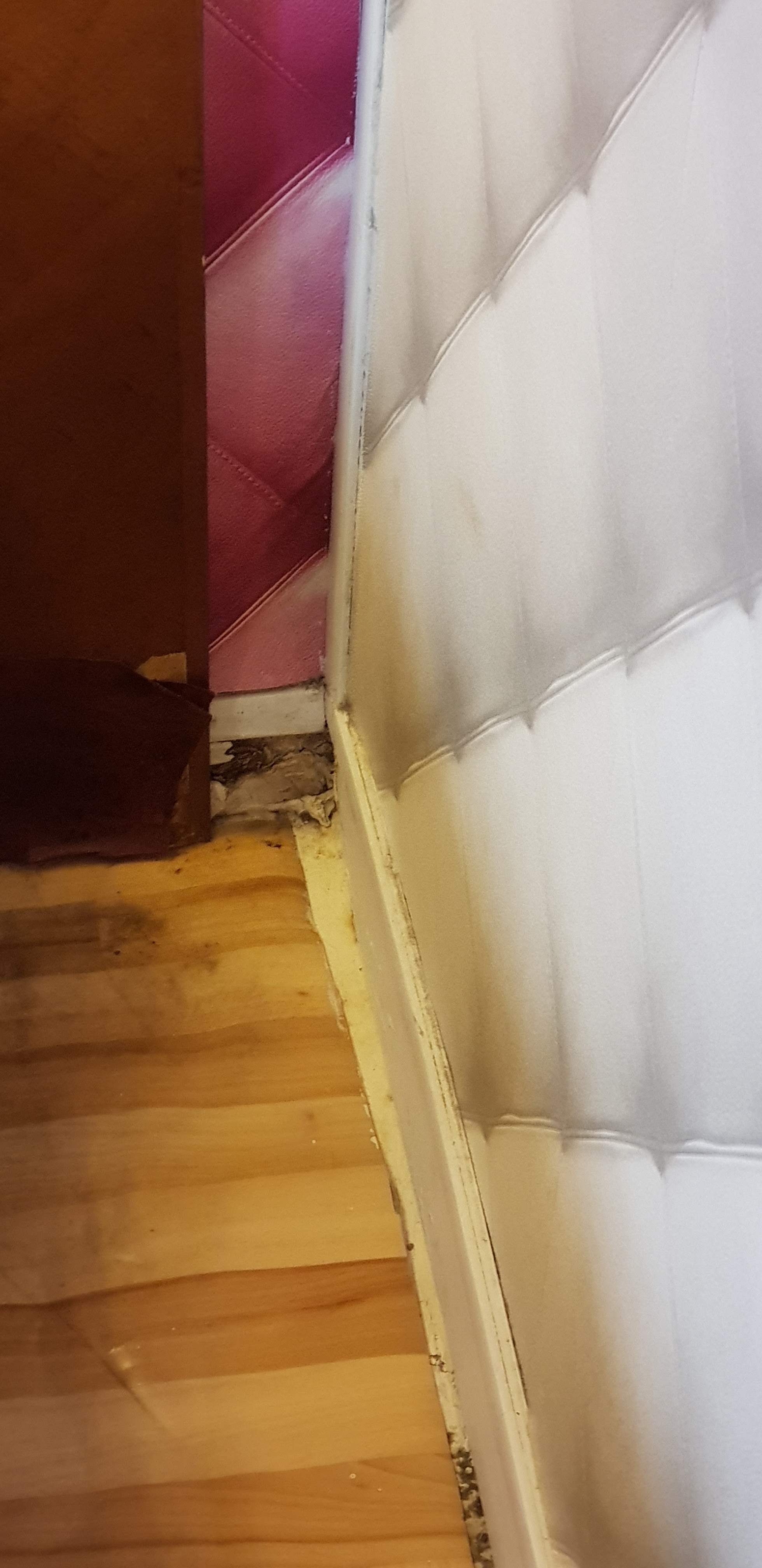 Photo n° 6 de l'avis de Giuseppe.o fait le 27/08/2018 à 22:16