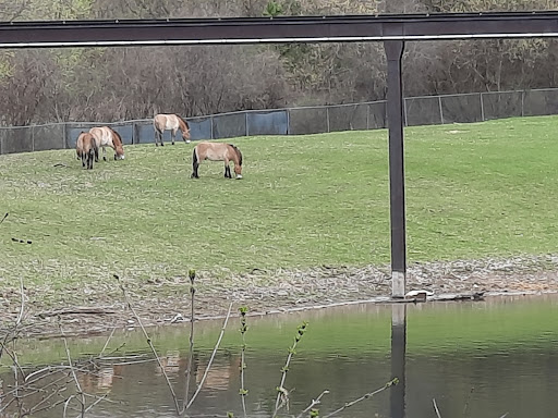 Zoo «Minnesota Zoo», reviews and photos, 13000 Zoo Blvd, Apple Valley, MN 55124, USA