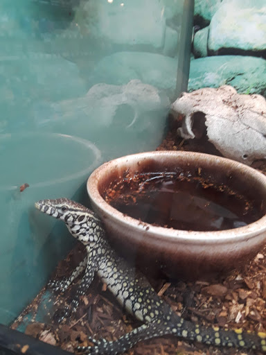 Pet Store «Pet Depot», reviews and photos, 10008 Memorial Pkwy SW, Huntsville, AL 35803, USA