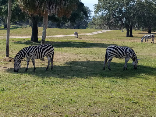 Tourist Attraction «Busch Gardens Main Entrance», reviews and photos, 9449 N 40th St, Tampa, FL 33617, USA