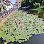Photo n°1 de l'avis de Sabine.u fait le 19/06/2023 à 17:22 sur le  Ristorante Der Amtmann à Longomoso