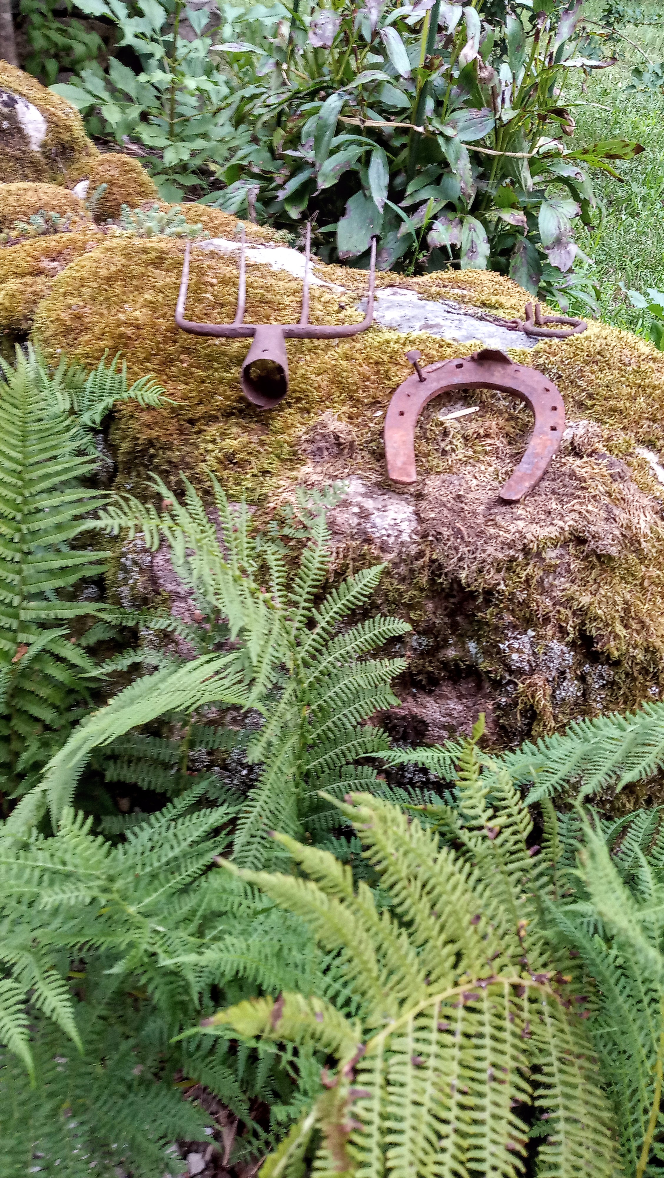 Photo n° 2 de l'avis de Michel. fait le 19/08/2021 à 09:42