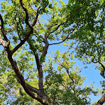 Photo n°3 de l'avis de Mr.r fait le 11/08/2022 à 18:16 sur le  Königs-Alm à Nieste