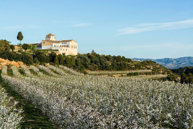 Extérieur Hébergement d'intérieur Mas d'Alerany - Casa Rural 43746 La Serra d'Almos