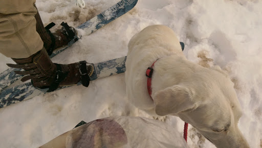 Observatory «Blue Hill Observatory Science Center Inc», reviews and photos, 1 Observatory Service Rd, Milton, MA 02186, USA